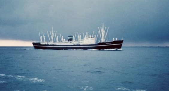 142DBDDC-1D81-4985-88A1-CBBE441B0AD8_4_5005_c